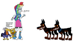 Size: 2417x1361 | Tagged: safe, artist:hunterxcolleen, rainbow dash, dog, equestria girls, g4, annoyed, crossover, desoto, female, humanized, jacob, maurizio, oliver and company, protecting, roscoe, talking, this will end in death, wunschpunsch