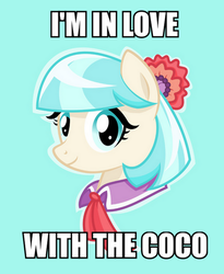 Size: 500x611 | Tagged: safe, coco pommel, g4, coco (song), female, image macro, looking at you, meme, o.t. genasis, portrait, smiling, solo, song reference