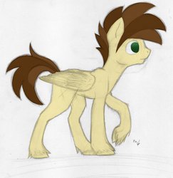 Size: 881x907 | Tagged: safe, artist:mane6swag, oc, oc only, pegasus, pony, male, mixed media, solo, stallion, unshorn fetlocks, walking