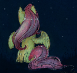 Size: 750x706 | Tagged: safe, artist:shaideu, artist:toesies, fluttershy, pony, g4, female, night, solo