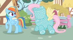 Size: 687x382 | Tagged: safe, artist:scintillant-h, fluttershy, rainbow dash, pegasus, pony, g4, bubble wrap, duo, duo female, female, folded wings, mare, ponyville, spread wings, wings