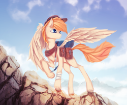 Size: 2701x2221 | Tagged: safe, artist:fruitbloodmilkshake, oc, oc only, oc:sacred heart, commission, high res, mountain, solo, unshorn fetlocks