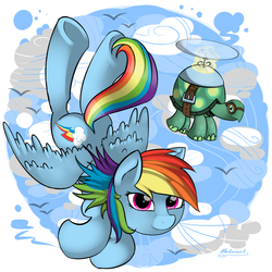 Size: 5000x5000 | Tagged: safe, artist:malamol, rainbow dash, tank, tortoise, g4, absurd resolution, female, flying, underhoof