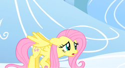 Size: 1099x598 | Tagged: safe, screencap, fluttershy, pegasus, pony, g4, my little pony: friendship is magic, sonic rainboom (episode), ears back, female, solo