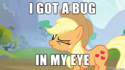 Size: 610x343 | Tagged: safe, applejack, insect, g4, image macro, meme, wink