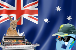 Size: 1500x1001 | Tagged: safe, rainbow dash, kangaroo, g4, australia, australia day, barbeque, flag, food, grill, hat, sunglasses