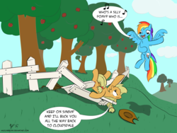 Size: 2400x1800 | Tagged: safe, artist:halflingpony, applejack, rainbow dash, earth pony, pegasus, pony, g4, apple, apple tree, dialogue, duo, fallen, fence, on back, property damage, silly, silly pony, singing, sweet apple acres, teasing, tree, who's a silly pony
