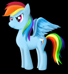 Size: 1000x1100 | Tagged: safe, artist:easteu, rainbow dash, g4, female, solo