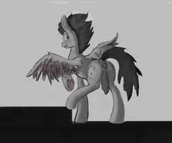 Size: 3000x2500 | Tagged: dead source, safe, artist:php64, oc, oc only, pegasus, pony, :t, annoyed, blushing, butt, butt tie, censored butt, high res, looking back, monochrome, necktie, plot, raised hoof, raised leg, solo, spread wings, strategically covered, underhoof