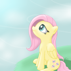 Size: 900x900 | Tagged: safe, artist:theparagon, fluttershy, g4, female, solo