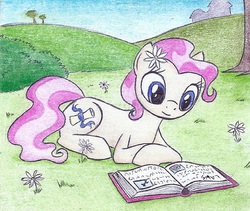Size: 710x600 | Tagged: safe, artist:islamilenaria, mayor mare, g4, non-dyed mayor, pink mane, reading, traditional art, younger