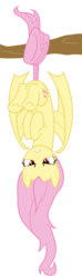 Size: 1179x4000 | Tagged: safe, artist:crimson, fluttershy, bat pony, pony, bats!, g4, bat wings, bored, fangs, female, flutterbat, pink hair, red eyes, simple background, solo, transparent background, tree branch, unamused, vector