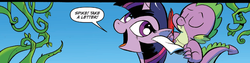 Size: 1400x355 | Tagged: safe, idw, spike, twilight sparkle, alicorn, dragon, pony, g4, spoiler:comic, spoiler:comic27, dragons riding ponies, female, mare, panel, riding, spike riding twilight, twilight sparkle (alicorn)