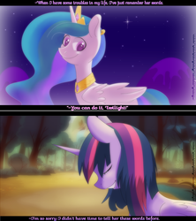 Size: 2000x2250 | Tagged: safe, artist:gnidagovnida, princess celestia, twilight sparkle, alicorn, pony, g4, dialogue, female, high res, mare, twilight sparkle (alicorn)