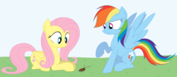 Size: 1128x493 | Tagged: safe, artist:hyolark, fluttershy, rainbow dash, cockroach, insect, pegasus, pony, g4