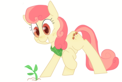 Size: 2205x1473 | Tagged: safe, artist:meowing-ghost, apple bumpkin, earth pony, pony, g4, apple family member, apple tree, sappling, solo, tree