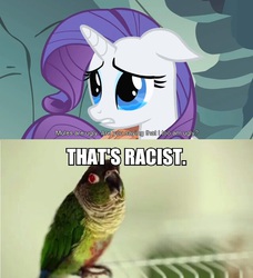 Size: 848x928 | Tagged: safe, edit, edited screencap, screencap, rarity, bird, parrot, pony, unicorn, a dog and pony show, g4, bootleg pokémon games, floppy ears, jacques, jontron, racism, teary eyes