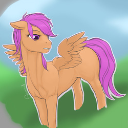 Size: 1280x1280 | Tagged: safe, artist:arareroll, scootaloo, pegasus, pony, g4, eye clipping through hair, female, filly, foal, lip bite, outline, solo, spread wings, white outline, wings