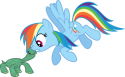 Size: 3573x2208 | Tagged: safe, artist:porygon2z, rainbow dash, tank, g4, high res, no shell, simple background, transparent background, vector