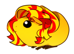 Size: 400x294 | Tagged: safe, artist:memoneo, sunset shimmer, guinea pig, g4, cute, female, looking up, simple background, smiling, solo, species swap, transparent background