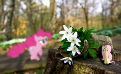 Size: 2877x1752 | Tagged: safe, artist:craftybrony, artist:cyantal, artist:ocarina0ftimelord, fluttershy, pinkie pie, g4, blurry, flower, forest, hiding, irl, log, photo, ponies in real life, running, shadow, vector