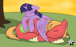 Size: 2800x1750 | Tagged: safe, artist:wodahseht, big macintosh, twilight sparkle, alicorn, pony, g4, female, male, mare, ship:twimac, shipping, sleeping, straight, twilight sparkle (alicorn)