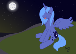 Size: 4646x3296 | Tagged: safe, artist:skipsy, princess luna, alicorn, pony, g4, female, happy, moon, night, s1 luna, solo, stars, vector