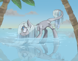 Size: 1000x789 | Tagged: safe, artist:thevixvix, oc, oc only, pony, horizon, palm tree, pathetic, reflection, sad, solo, tail, tree, water