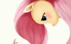 Size: 1600x1000 | Tagged: safe, artist:des1597, fluttershy, g4, crying, female, solo