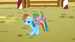 Size: 1280x720 | Tagged: safe, screencap, rainbow dash, spike, fall weather friends, g4, my little pony: friendship is magic