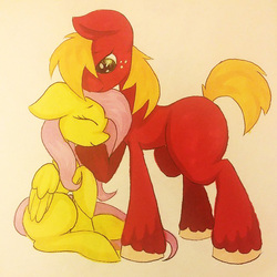 Size: 640x640 | Tagged: safe, artist:foreverabrony, big macintosh, fluttershy, earth pony, pony, g4, blank flank, male, ship:fluttermac, shipping, stallion, straight