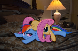 Size: 2464x1632 | Tagged: safe, artist:oppositebros, fluttershy, rainbow dash, g4, bed, irl, lamp, photo, ponies in real life, pony pile, window