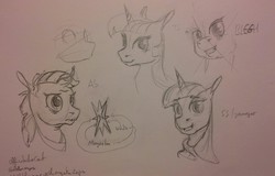 Size: 1280x819 | Tagged: safe, artist:archonix, twilight sparkle, oc, oc:star sparkle, g4, broken horn, cutie mark, horn, monochrome, sketch, sketch dump, smiling, traditional art