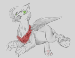 Size: 1100x850 | Tagged: safe, artist:hippykat13, artist:sabokat, oc, oc only, oc:eraclea, griffon, belly, cute, looking up, neckerchief, on side, paw pads, pregnant, sitting, smiling, solo