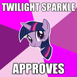 Size: 600x600 | Tagged: safe, twilight sparkle, pony, g4, image macro, meme, seal of approval, solo