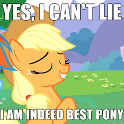 Size: 610x610 | Tagged: safe, screencap, applejack, g4, best pony, bronybait, image macro, meme, troll quote