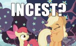 Size: 610x376 | Tagged: safe, edit, edited screencap, screencap, apple bloom, applejack, earth pony, pony, g4, caption, female, filly, image macro, incest, mare, meme, wink