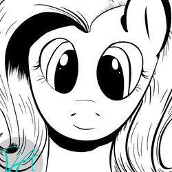 Size: 800x800 | Tagged: safe, artist:dark-ascent, fluttershy, g4, female, monochrome, solo