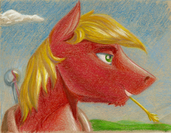 Size: 1140x888 | Tagged: safe, artist:skybounddeos, big macintosh, earth pony, pony, g4, male, solo, stallion, traditional art