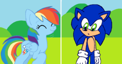 Size: 1020x540 | Tagged: safe, artist:heartinarosebud, rainbow dash, g4, crossover, crossover shipping, female, interspecies, male, shipping, sonic the hedgehog, sonic the hedgehog (series), sonicdash, straight