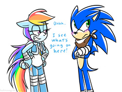 Size: 1000x750 | Tagged: safe, artist:hoshinousagi, rainbow dash, anthro, g4, crossover, male, simple background, sonic boom, sonic the hedgehog, sonic the hedgehog (series), sonicified, white background