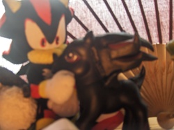 Size: 2848x2144 | Tagged: safe, artist:sexyballoffluff, pony, g3, anthro ponidox, crossover, customized toy, high res, irl, male, photo, plushie, ponified, shadow the hedgehog, solo, sonic the hedgehog, sonic the hedgehog (series), toy