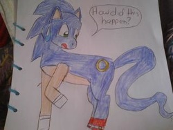 Size: 320x240 | Tagged: safe, artist:melodiavalentine, pony, male, ponified, solo, sonic the hedgehog, sonic the hedgehog (series), traditional art
