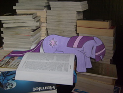 Size: 2816x2112 | Tagged: safe, artist:moonlightscribe, twilight sparkle, g4, book, high res, irl, photo, ponies in real life, sleeping, solo, traditional art