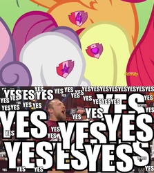 Size: 1280x1434 | Tagged: safe, screencap, apple bloom, scootaloo, sweetie belle, crusaders of the lost mark, g4, cutie mark crusaders, daniel bryan, image macro, meme, the cmc's cutie marks, wwe, yes