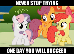 Size: 1276x929 | Tagged: safe, edit, edited screencap, screencap, apple bloom, scootaloo, sweetie belle, crusaders of the lost mark, g4, backwards cutie mark, caption, cutie mark crusaders, motivational, text, the cmc's cutie marks