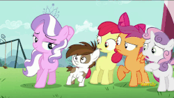 Size: 1920x1080 | Tagged: safe, screencap, apple bloom, diamond tiara, pipsqueak, scootaloo, sweetie belle, earth pony, pony, crusaders of the lost mark, g4, abuse, animated, colt, cruel, cutie mark crusaders, loop, male