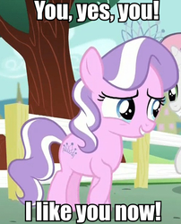Size: 493x609 | Tagged: safe, screencap, diamond tiara, sweetie belle, crusaders of the lost mark, g4, cropped, image macro, meme, solo focus, text