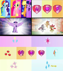 Size: 1024x1152 | Tagged: safe, edit, edited screencap, screencap, apple bloom, applejack, fluttershy, pinkie pie, rainbow dash, rarity, scootaloo, sweetie belle, twilight sparkle, alicorn, pony, crusaders of the lost mark, g4, magical mystery cure, comparison, cutie mark, cutie mark crusaders, discovery family logo, female, mane six, mare, the cmc's cutie marks, twilight sparkle (alicorn), what my cutie mark is telling me
