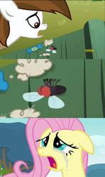 Size: 1280x2160 | Tagged: safe, edit, edited screencap, screencap, fluttershy, pipsqueak, earth pony, fly, pony, crusaders of the lost mark, g4, hurricane fluttershy, candy, colt, comic, crying, dead, lint, male, screencap comic
